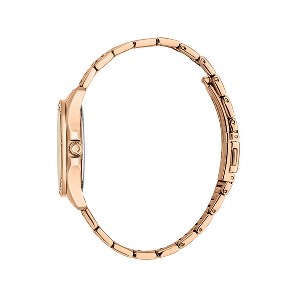 Montre Femme Just Cavalli