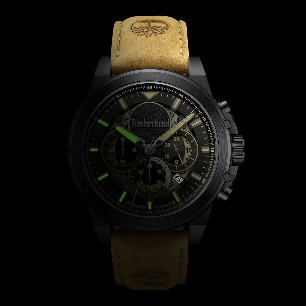Montre Homme Timberland TDWGB0056003