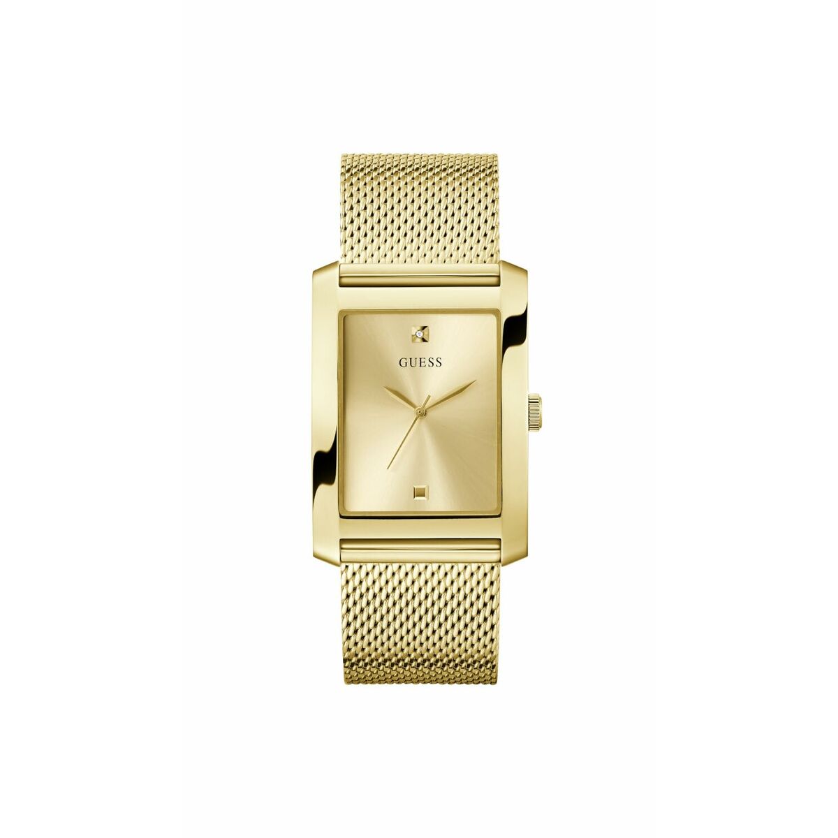 Montre Femme Guess CLYDE